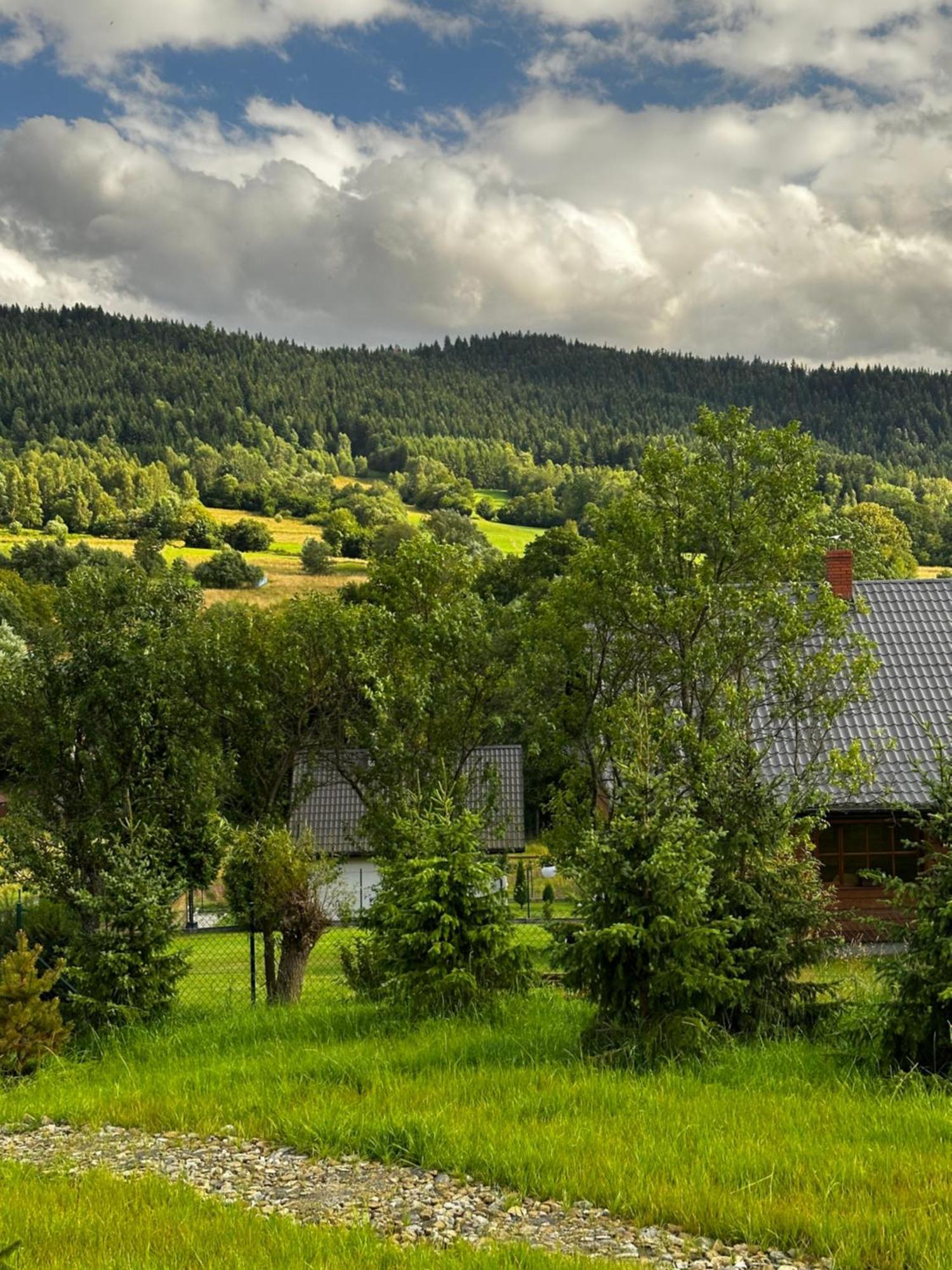 Black Deer - Z Sauna Na Tarasie, Jacuzzi I Widokiem Na Gory - By Deer Hills Luxury *